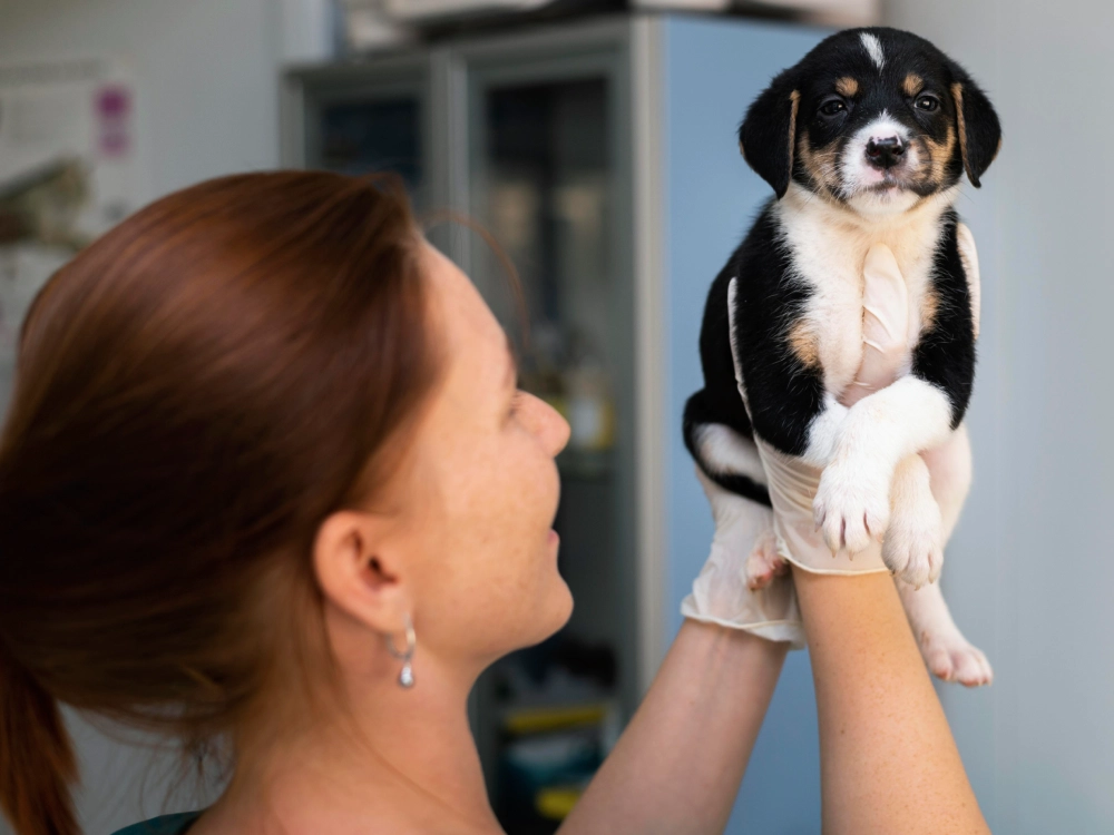 La importancia de la vacunación en cachorros
